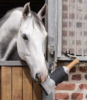 Waldhausen Champagne Bottle - Horse Toy