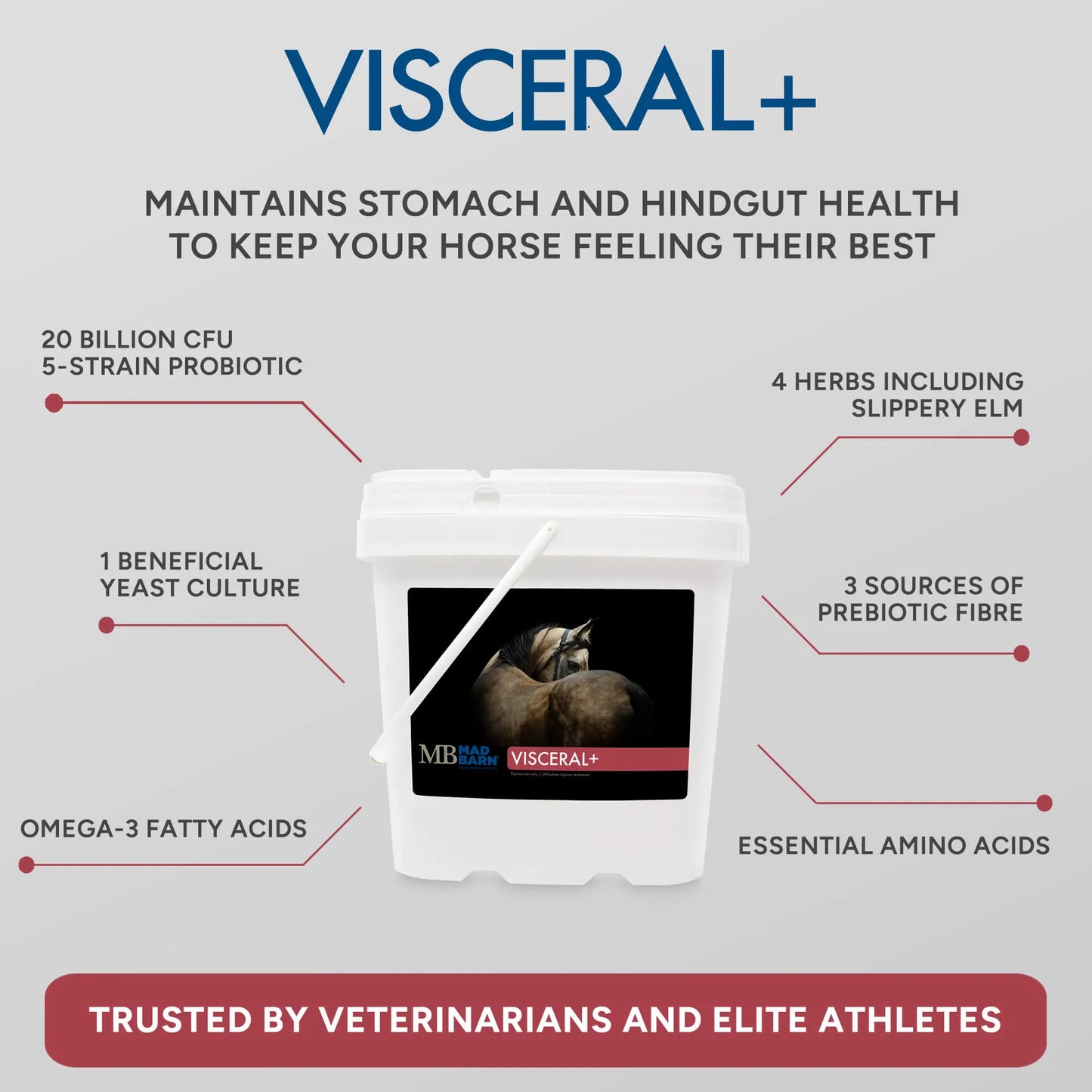 Mad Barn Visceral+ Pellets - 5kg (62 servings)