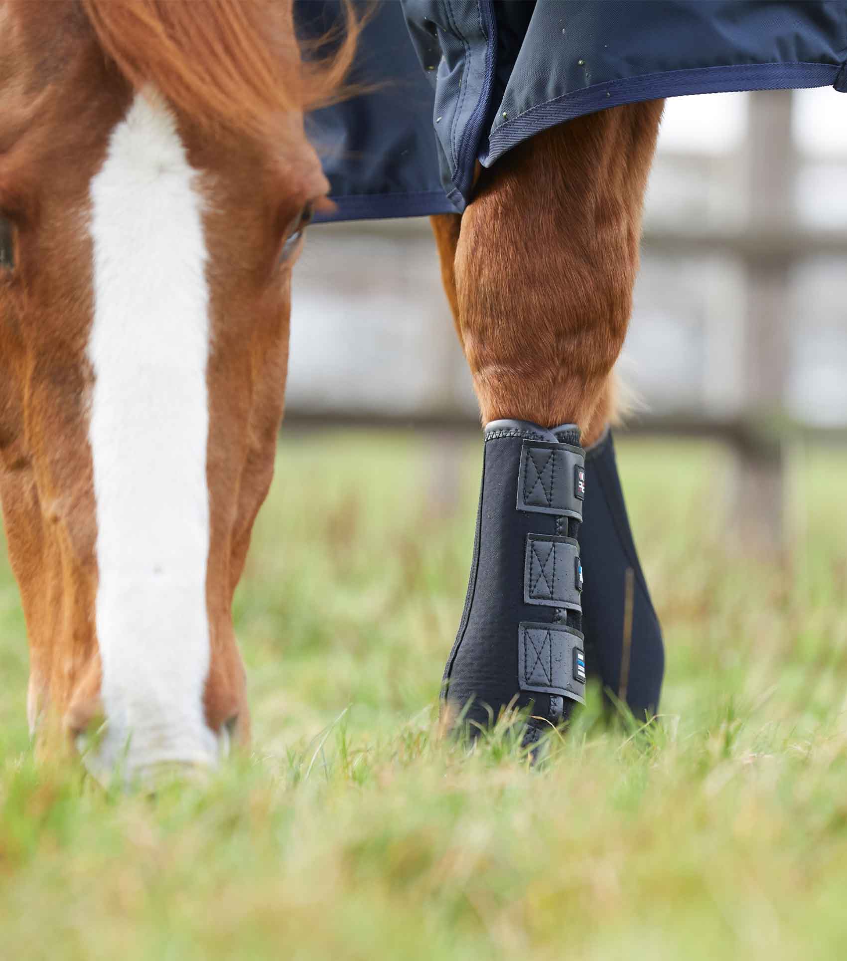 Premier equine turnout boots deals